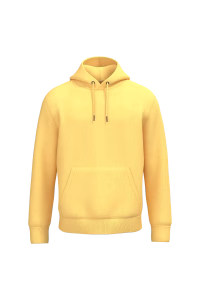 Ns401 sweat eco pineapple