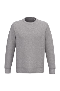 Ns443 sweat col rond eco gris