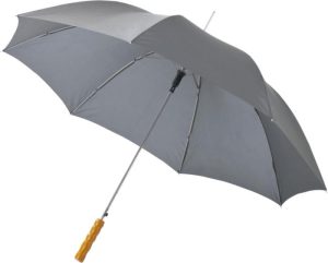 10901716 parapluie auto gris