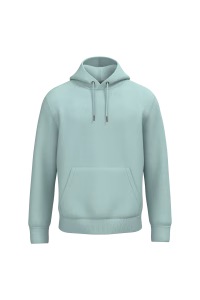 Ns401 sweat capuche unisexe jadegreen