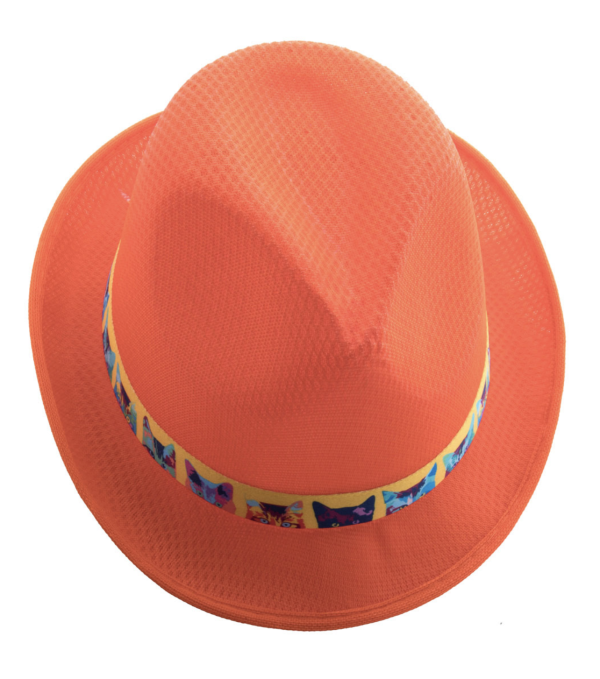 Ap718139 chapeau polyester haut