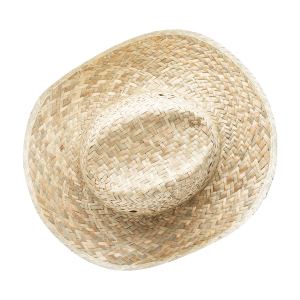 Ap741009 chapeau haut