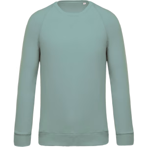 K480 sweat col bio vert sage homme