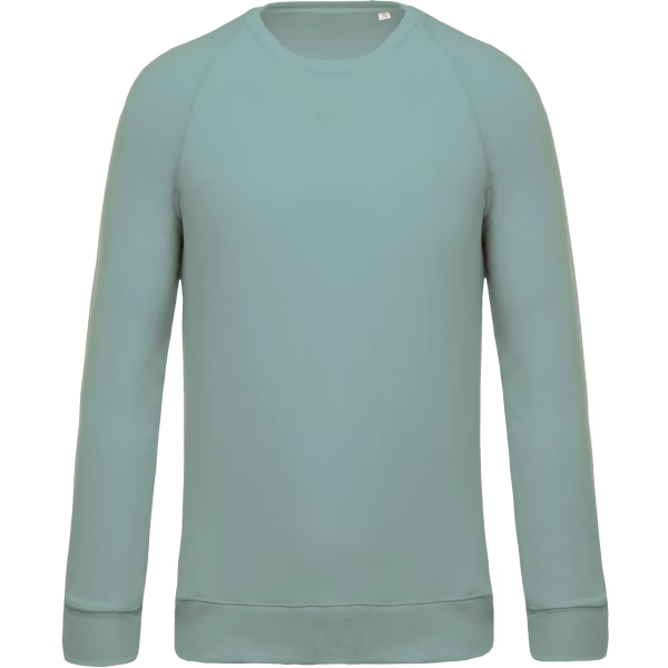 K480 sweat col bio vert sage homme