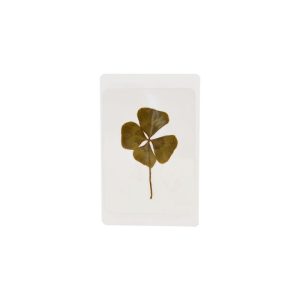 Carte trefle 4 feuilles zoom