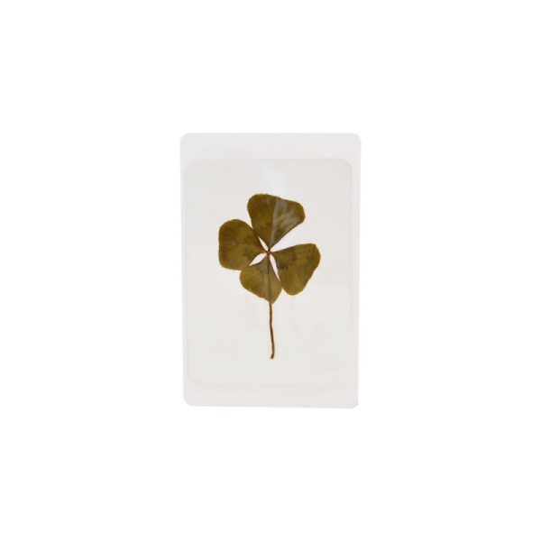 Carte trefle 4 feuilles zoom