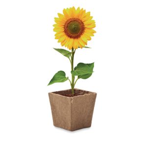 Mo2411 13 pot de tourbe zoom