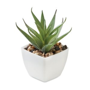 Mo2853 mini plante zoom