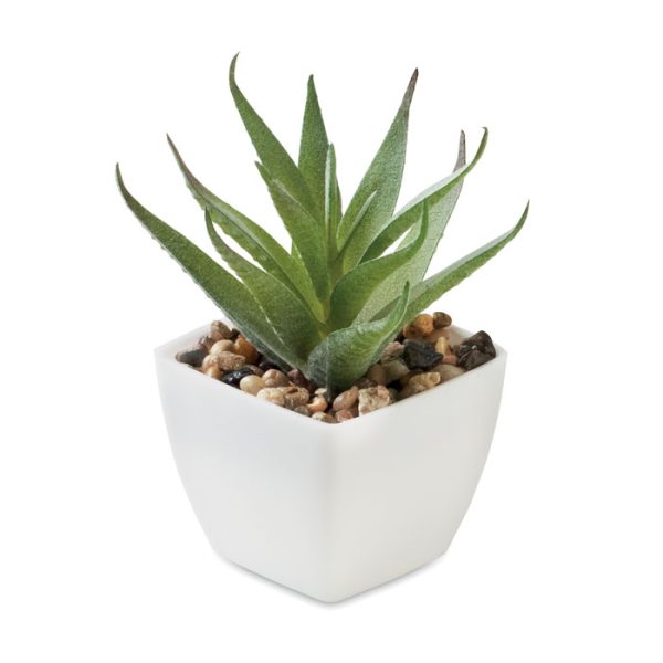 Mo2853 mini plante zoom