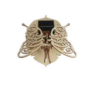 Papillon solaire dos