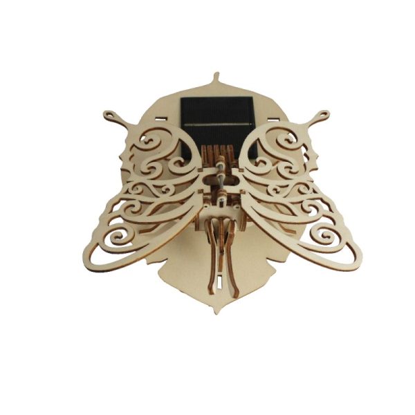 Papillon solaire dos