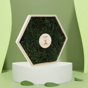 Trophee mousse hexagonal