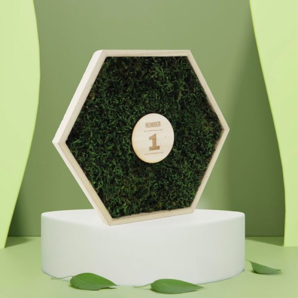 Trophee mousse hexagonal