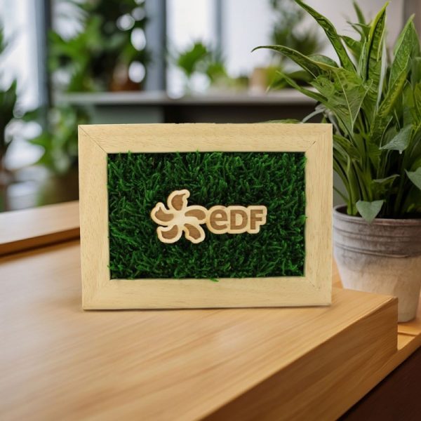 Trophee mousse rectangulaire